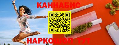 индика Сланцы
